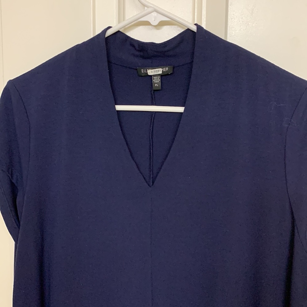 Eileen Fisher dress